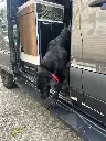 Sprinter:Transit Side Steps - Long:Flat Version (Passenger Side) 8.webp