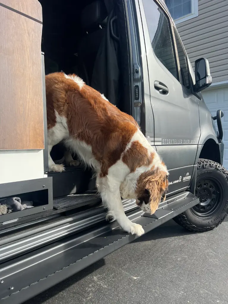 Sprinter:Transit Side Steps - Long:Flat Version (Passenger Side) 7.webp
