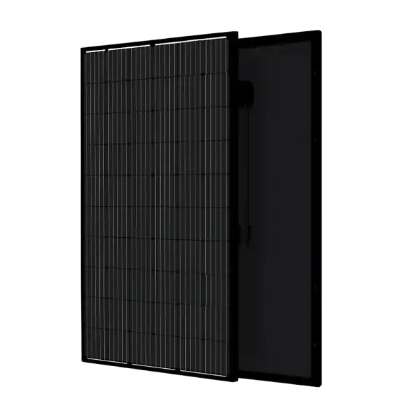 Flagsun 100W Monocrystalline All Black Solar Panel – High-Efficiency Compact Design
