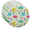 Summer Styled Plate Set